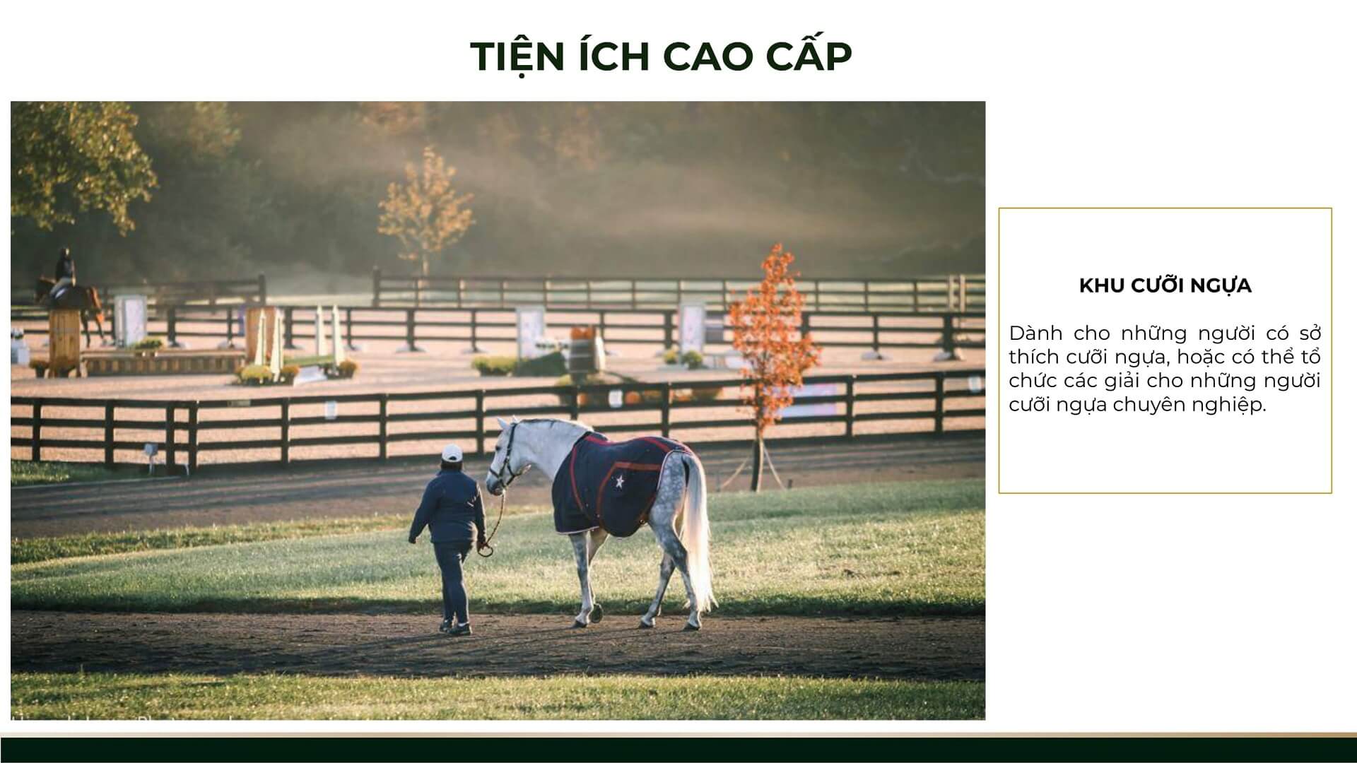 Khu cưỡi ngựa tại Thanh Lanh Valley